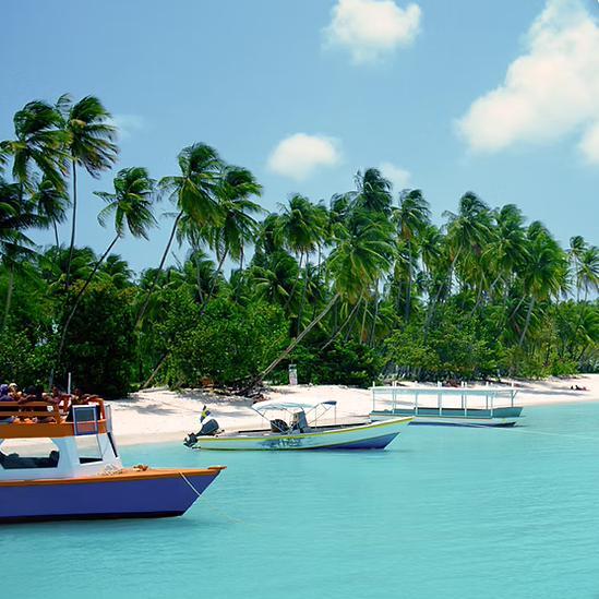 All Inclusive Holidays link to Travel Supermarket Tropical beach with palm trees and boats on calm turquoise water.